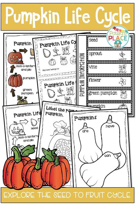 Pumpkin Life Cycle Writing Pack And Freebie Education Pumpkin Life Cycle Activity - Pumpkin Life Cycle Activity