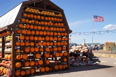 pumpkin patch colorado