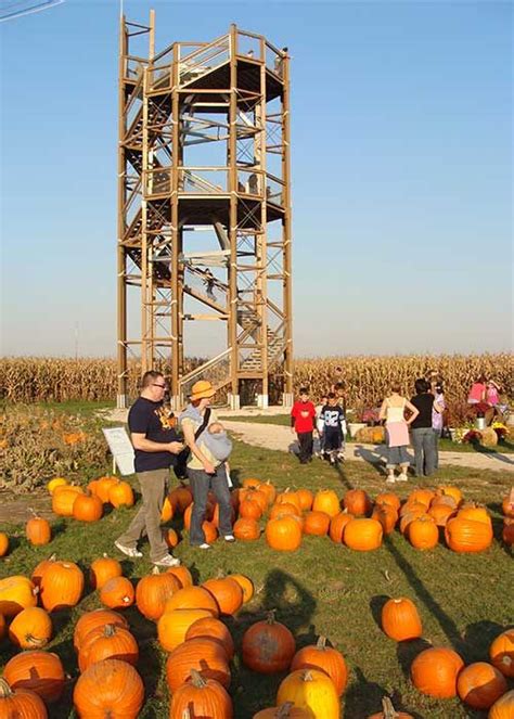 pumpkin patch illinois