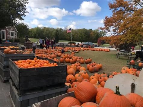 pumpkin patch indiana