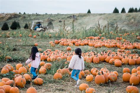 pumpkin patch maryland