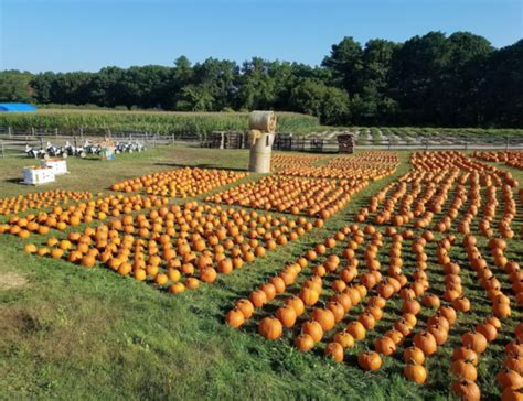 pumpkin patch massachusetts