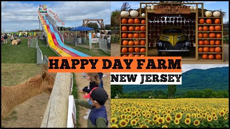 pumpkin patch new jersey