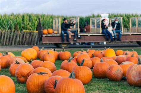 pumpkin patch ohio