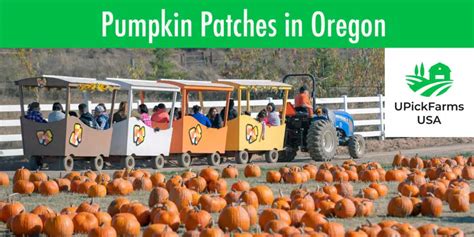 pumpkin patch oregon