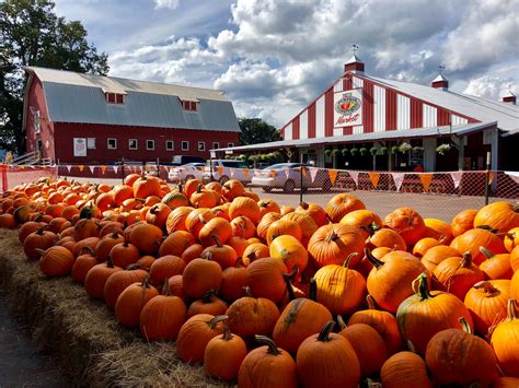 pumpkin patch portland oregon