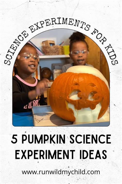 Pumpkin Science Experiments For Kids Run Wild My Pumpkin Science Experiment - Pumpkin Science Experiment