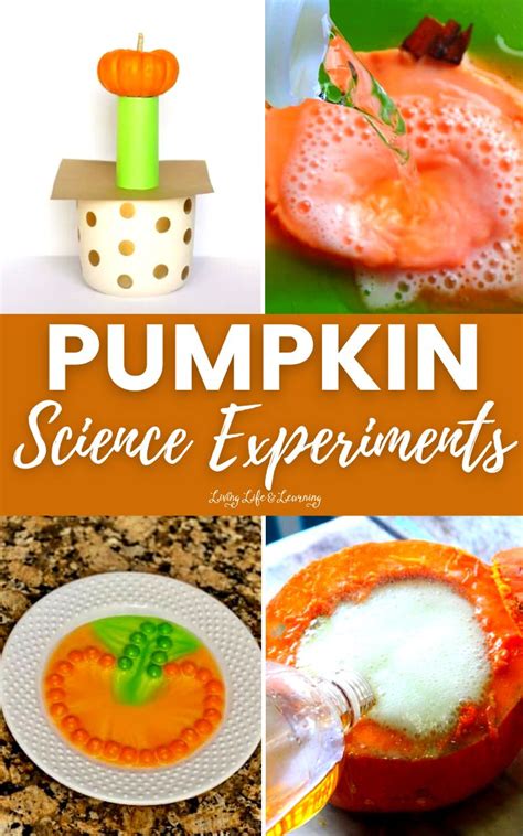 Pumpkin Science Experiments Living Life And Learning Science Activities With Pumpkins - Science Activities With Pumpkins