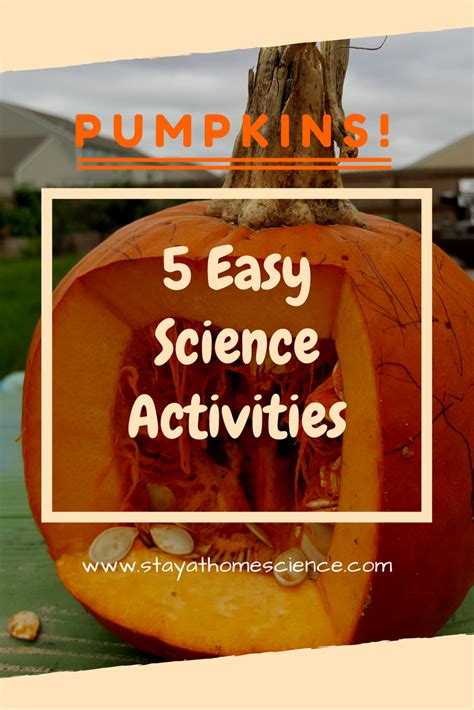 Pumpkins 5 Easy Science Activities Stay At Home Science Pumpkins - Science Pumpkins