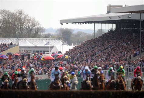 punchestown races today