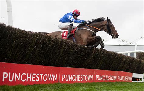 punchestown tips today