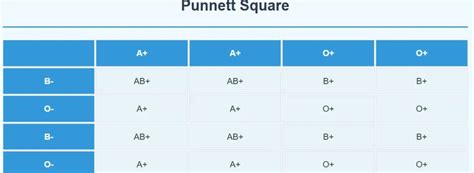 Punnet Square Calculator