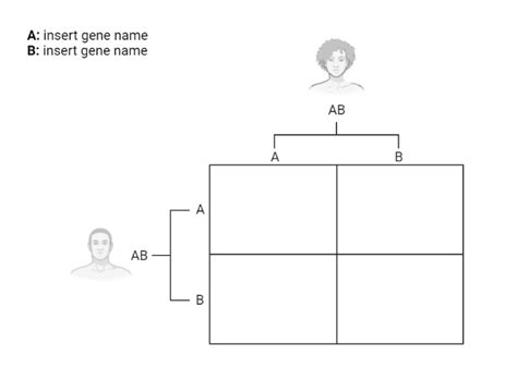 Punnett Square Maker