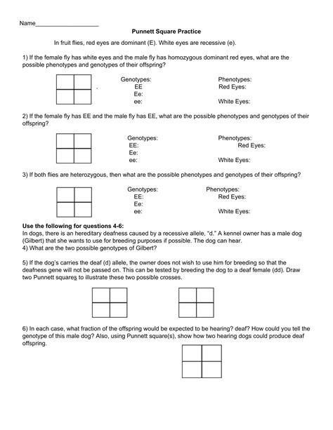 Punnett Square Practice Answer Key