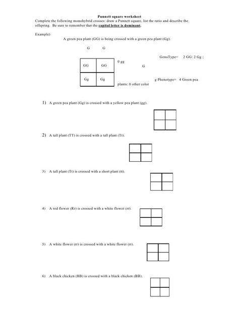 Punnett Square Practice Worksheet 7th Grade   7th Grade Punnett Square Quizizz - Punnett Square Practice Worksheet 7th Grade