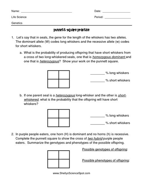 Punnett Square Practice Worksheet Answers Biology Punnett Square Activity Worksheet - Punnett Square Activity Worksheet