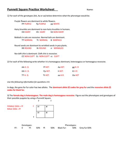 Punnett Square Practice Worksheet Name Key 171e0l0 2 Punnett Square Worksheet Answers Key Biology - Punnett Square Worksheet Answers Key Biology