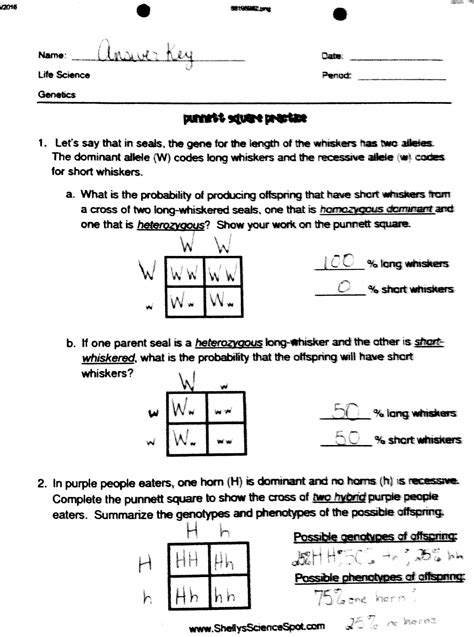 Punnett Square Worksheet 2 Answer Key   Punnett Square Practice With Answer Key Laney Lee - Punnett Square Worksheet 2 Answer Key