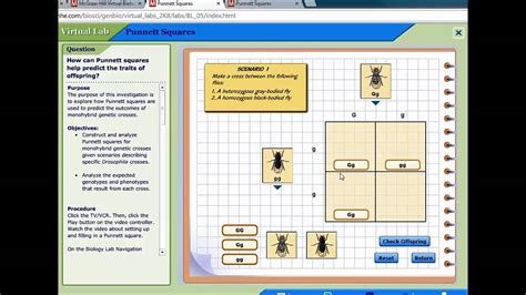 Read Online Punnett Square Virtual Lab Answers Mcgraw 