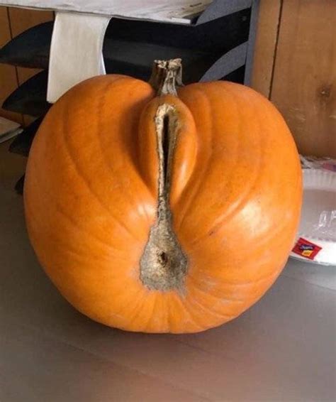 Punpkin Porn