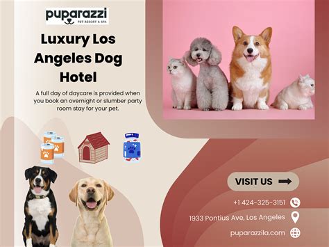 puparazzi la