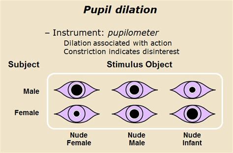 pupil size chart DriverLayer Search Engine