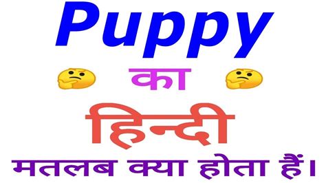 puppy meaning in Hindi puppy translation in Hindi - Shabdkosh