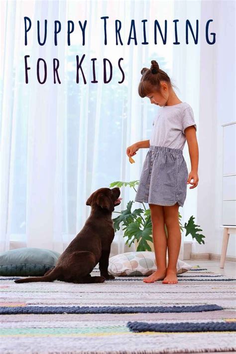 Download Puppy Training For Kids 