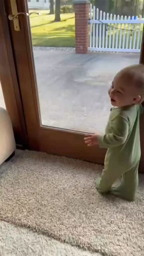 puppy_love__kids Baby and dog laugh heartily together #usa #Love.