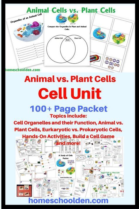 Purchase Homeschool Curriculum Unit Cells 6th Grade Cell Unit - 6th Grade Cell Unit