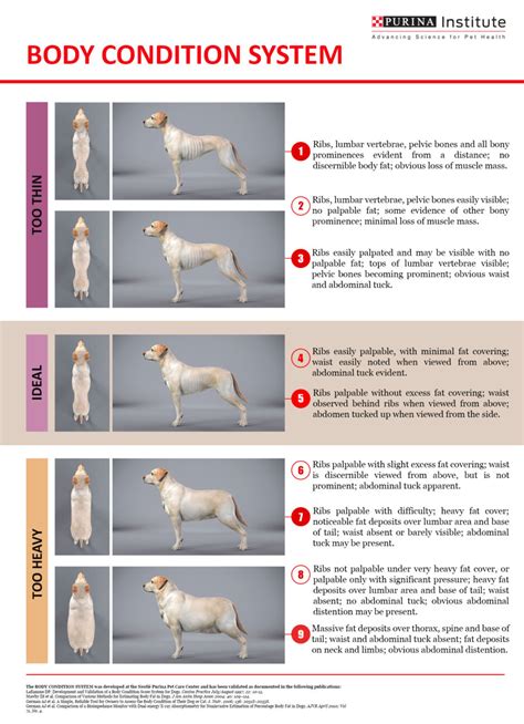 Purina Bcs Chart