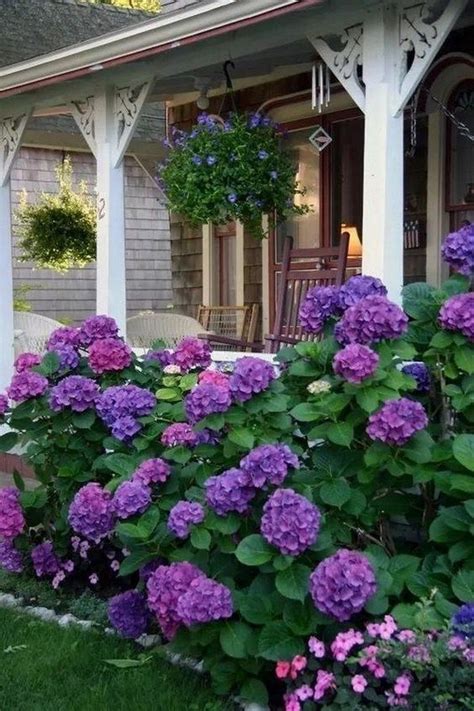 Purple Front Yard Flower Bed Ideas