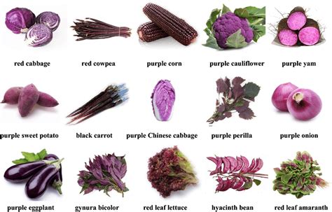 Purple Vegetables List