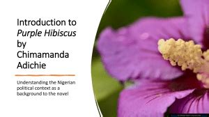 Full Download Purple Hibiscus Study Guide 