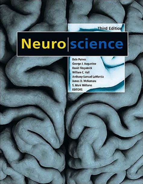 Full Download Purves Neuroscience 3Rd Edition 