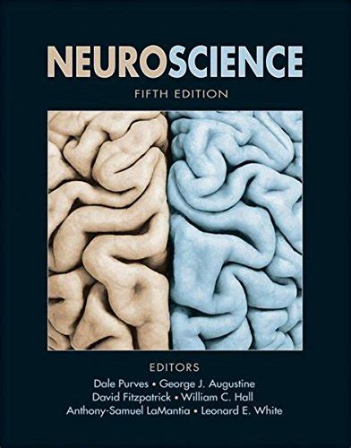 Download Purves Neuroscience 5Th Edition 