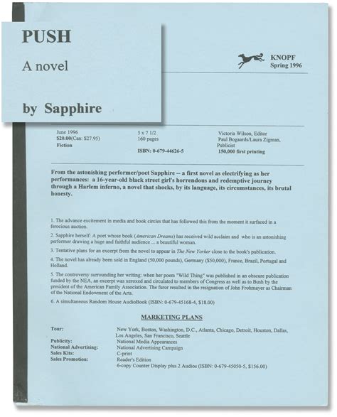 Push By Sapphire Summary