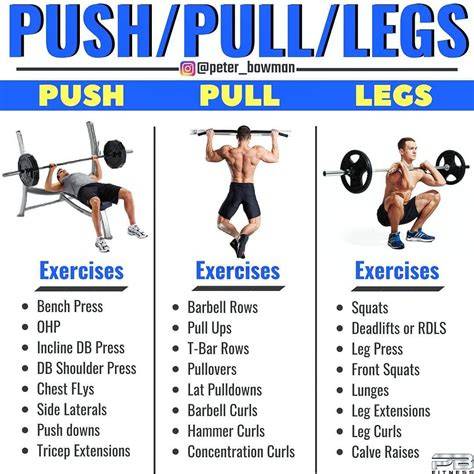Push Pull Legs