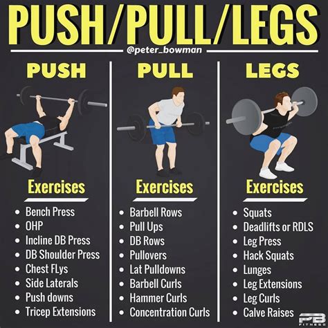 Push Pull Legs Program