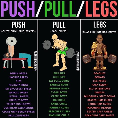 Push Pull Legs Schema