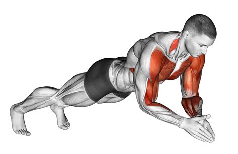 push up | Push Up Technique Star Fitness HCM