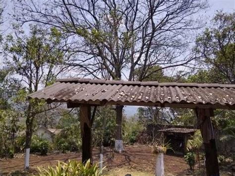 putas latinas en cuichapa