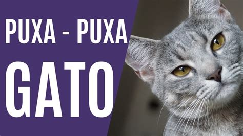 puxada do gato