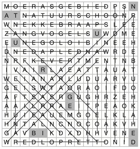 puzzeloplossing uitleg