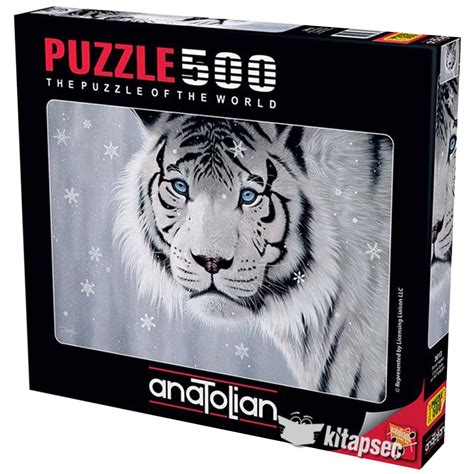 codini.rgarabwor.edu.pl. 