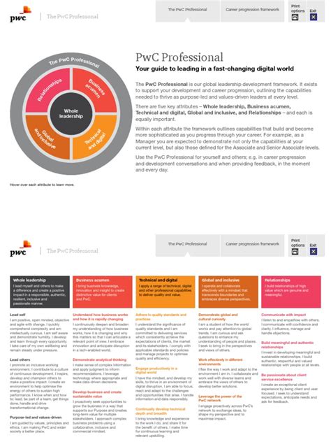 Pwc Professional Framework