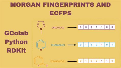 python - Morgan fingerprint rdkit - Stack Overflow