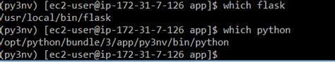 python Flask app no module named flask error in elasticbeanstalk after confirming flask