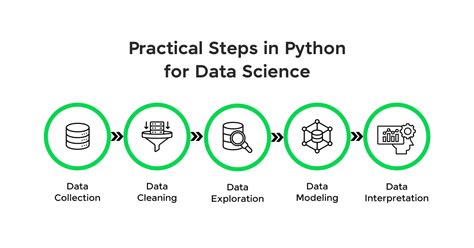 python data science a step by step guide to data