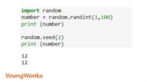 Python Random Random